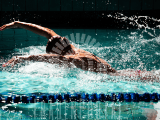 🟡 Delphin-Schwimmen für Frauen in 1210 Wien | 5 Einheiten ab 31.05.2026