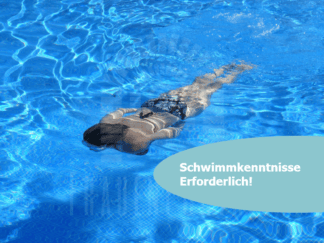 🟡 Streckentauchen für Frauen in Wien | 3EH ab 11.01.2026